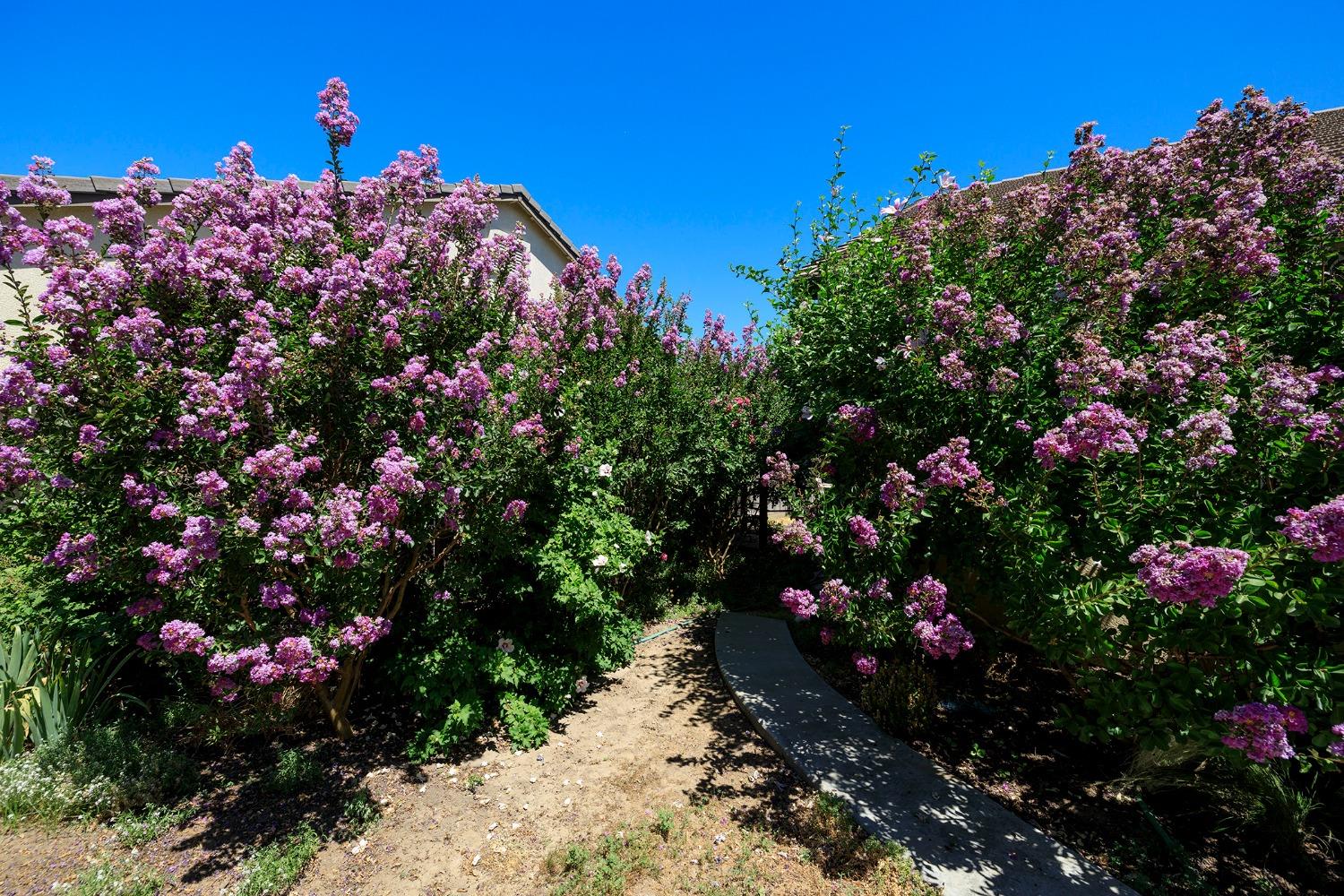 Navaho Court, Denair, California image 17