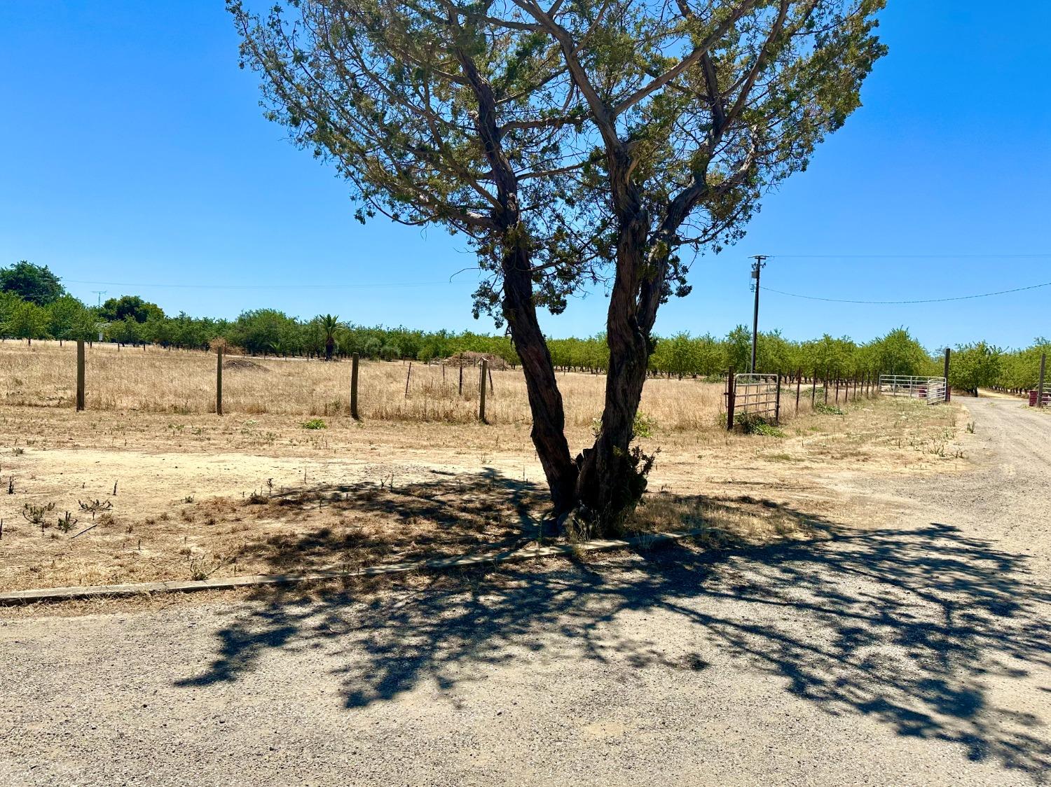 Almond Avenue, Arbuckle, California image 40