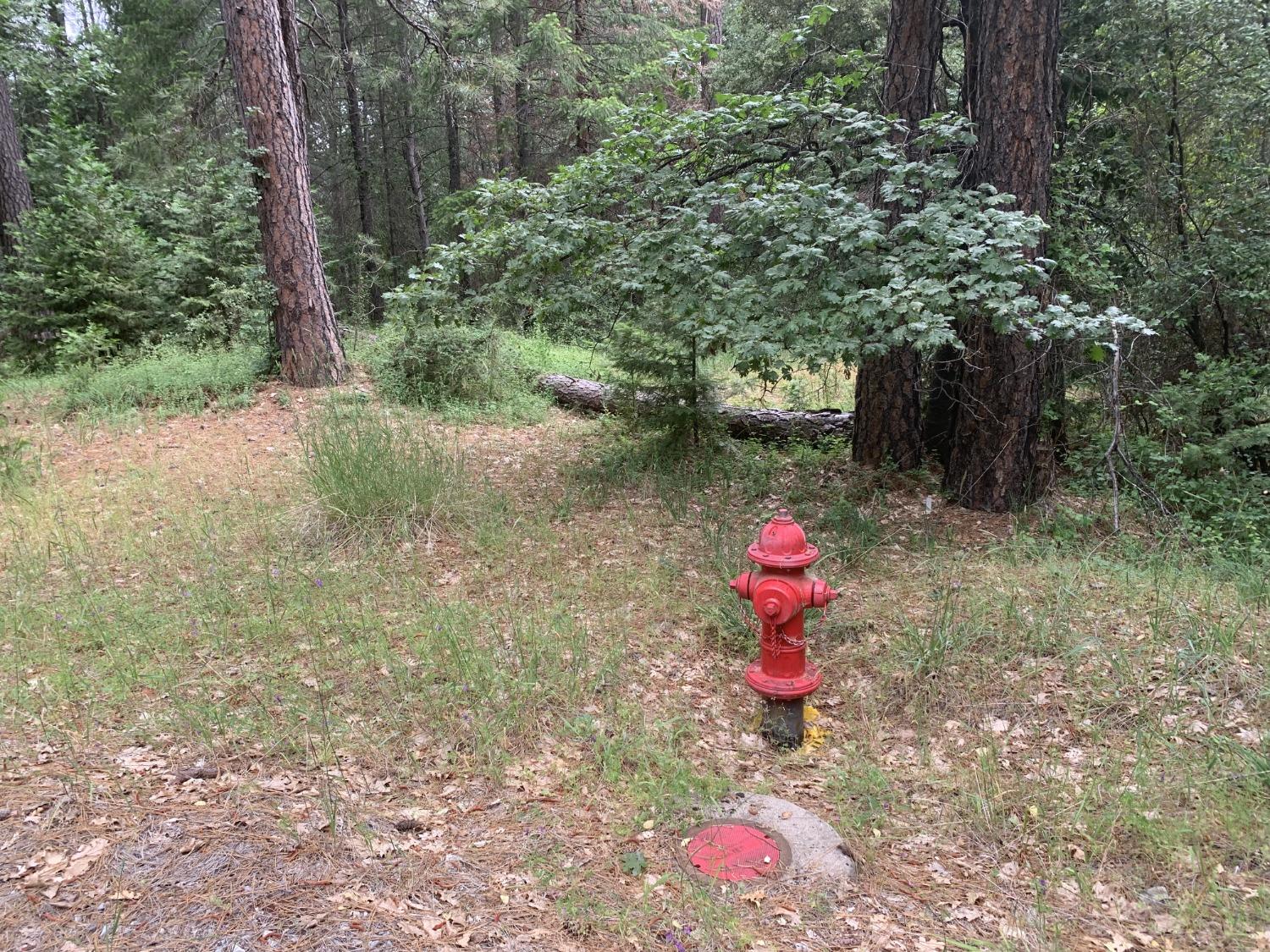 Amapola Court, Pollock Pines, California image 3