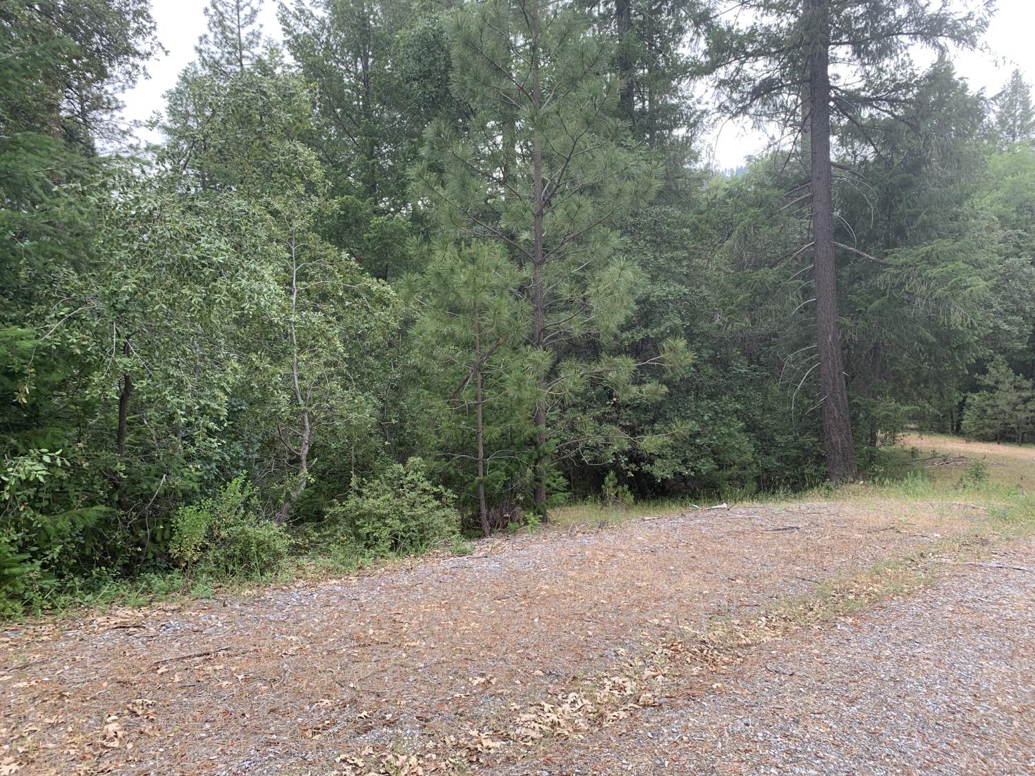 Amapola Court, Pollock Pines, California image 2