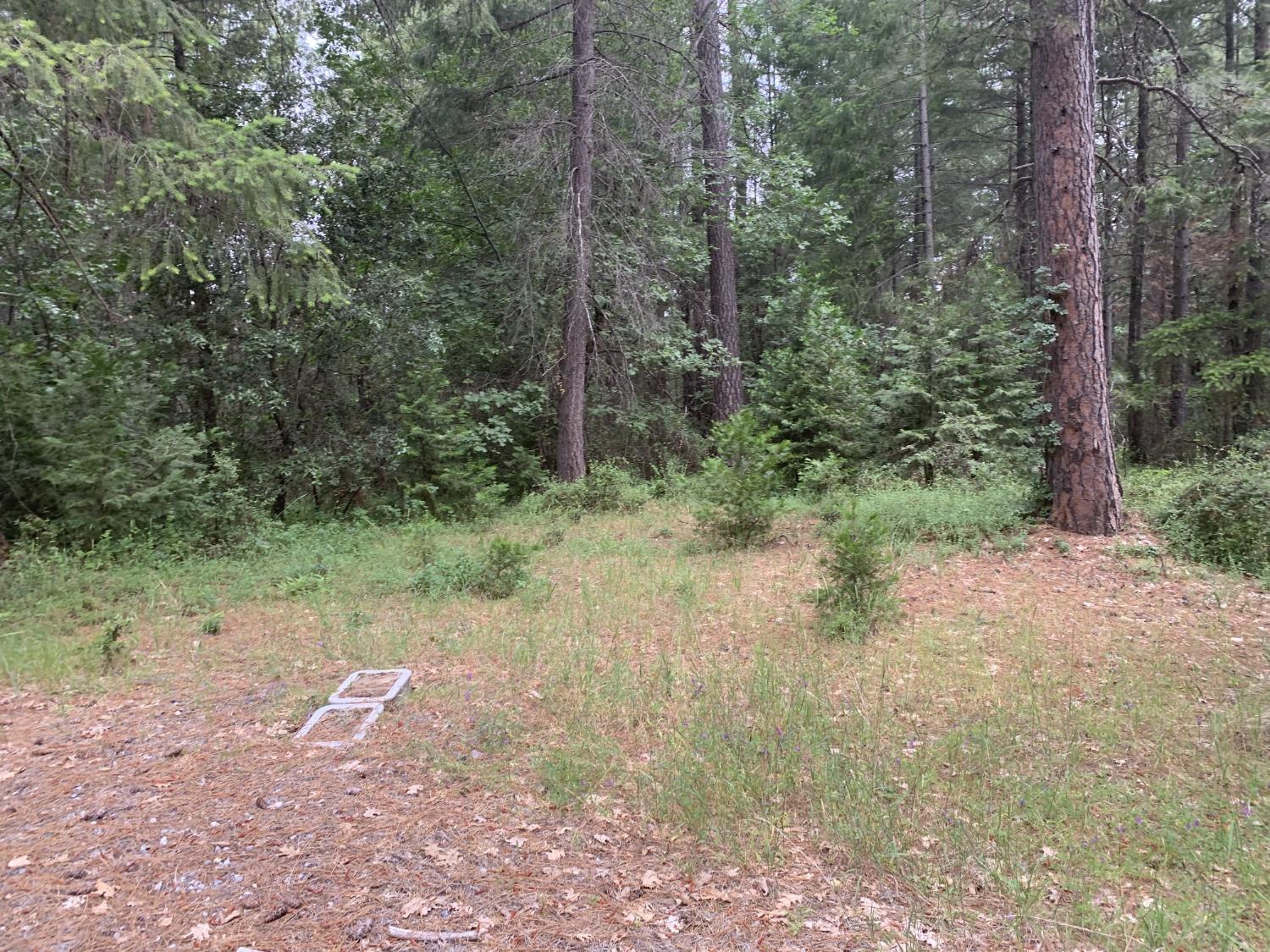 Amapola Court, Pollock Pines, California image 1