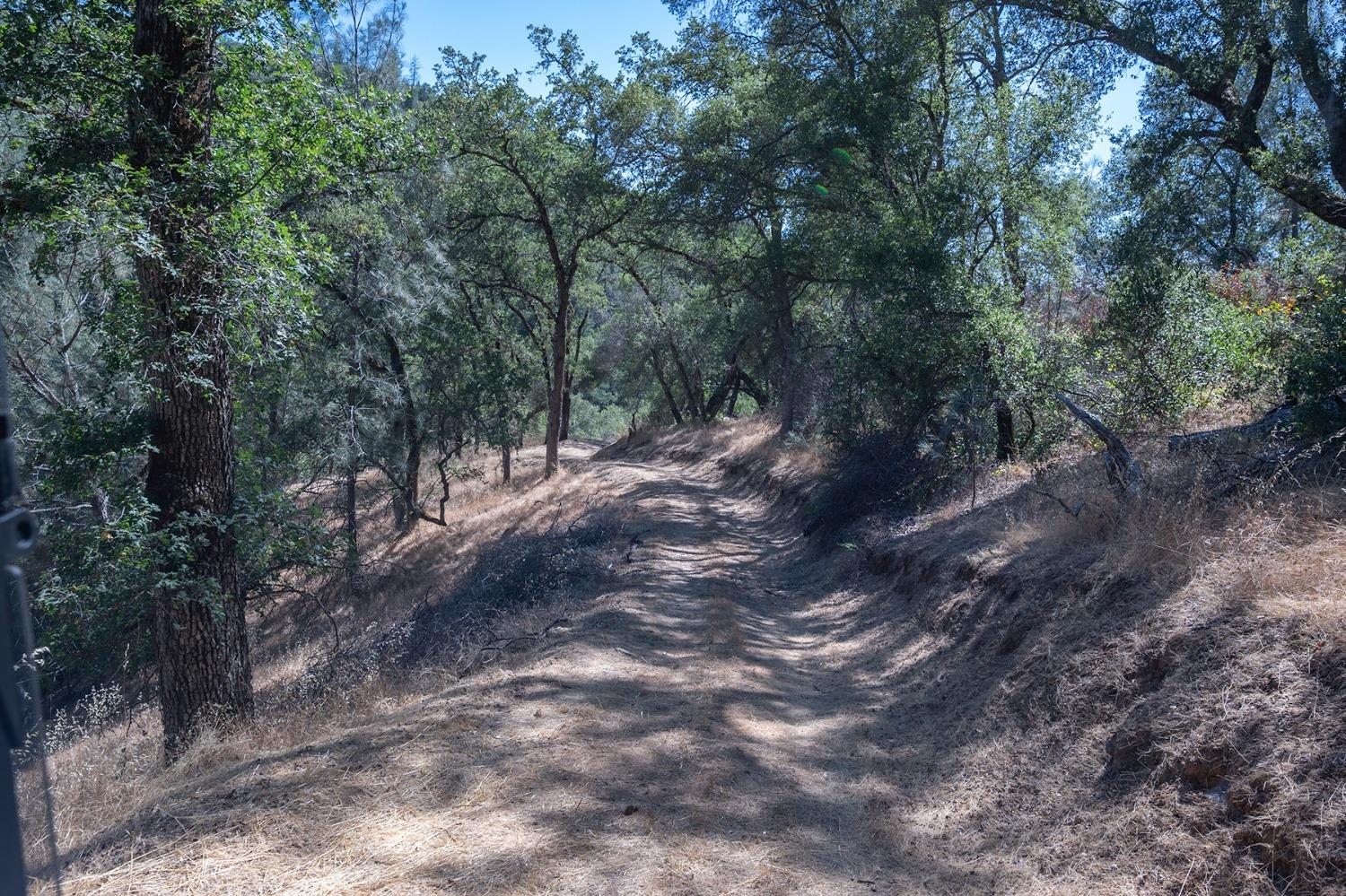 Detail Gallery Image 43 of 52 For 6060 Terra's Path, Placerville,  CA 95667 - 3 Beds | 2 Baths