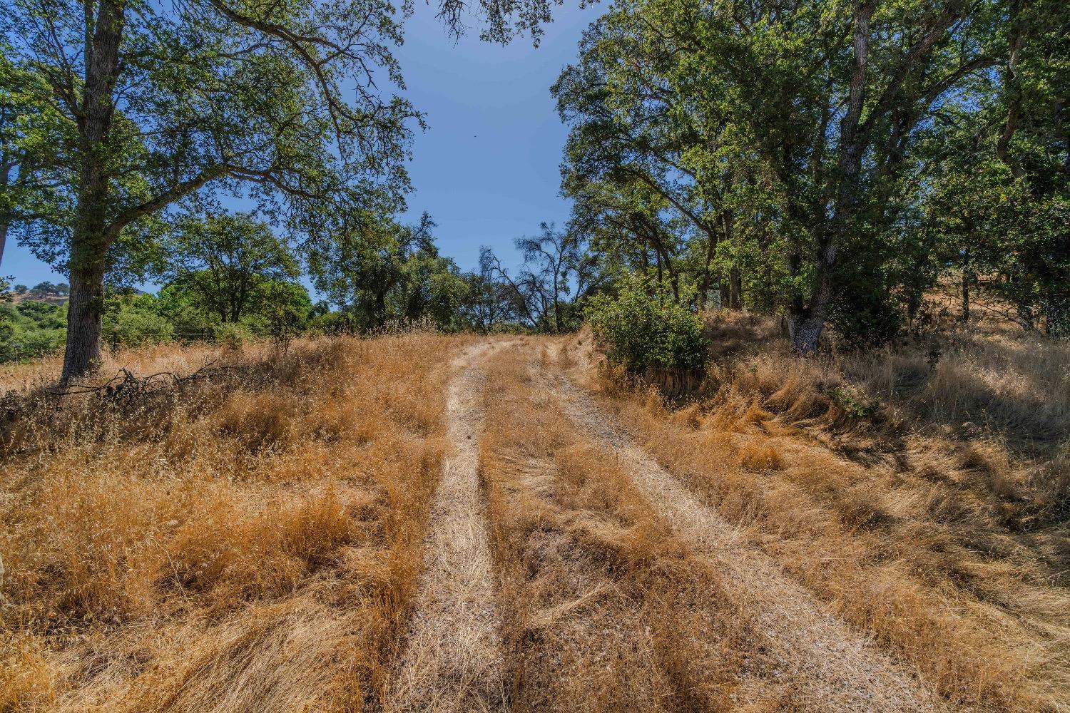 Red Valley Road, Ione, California image 3