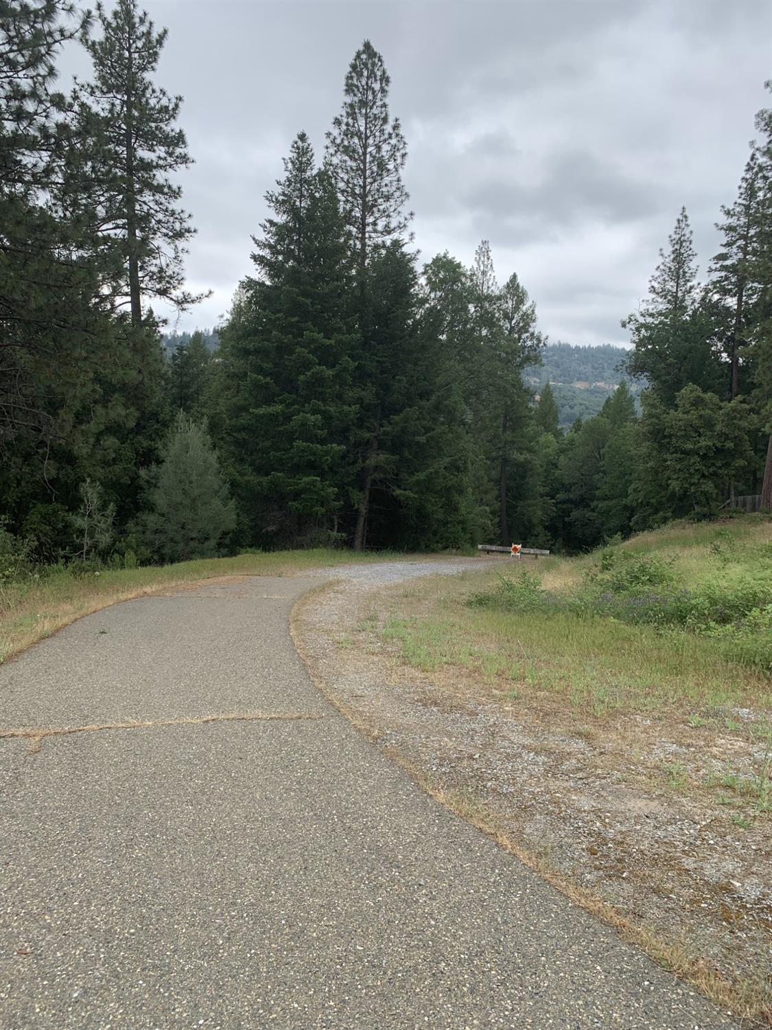 Amapola Court, Pollock Pines, California image 3