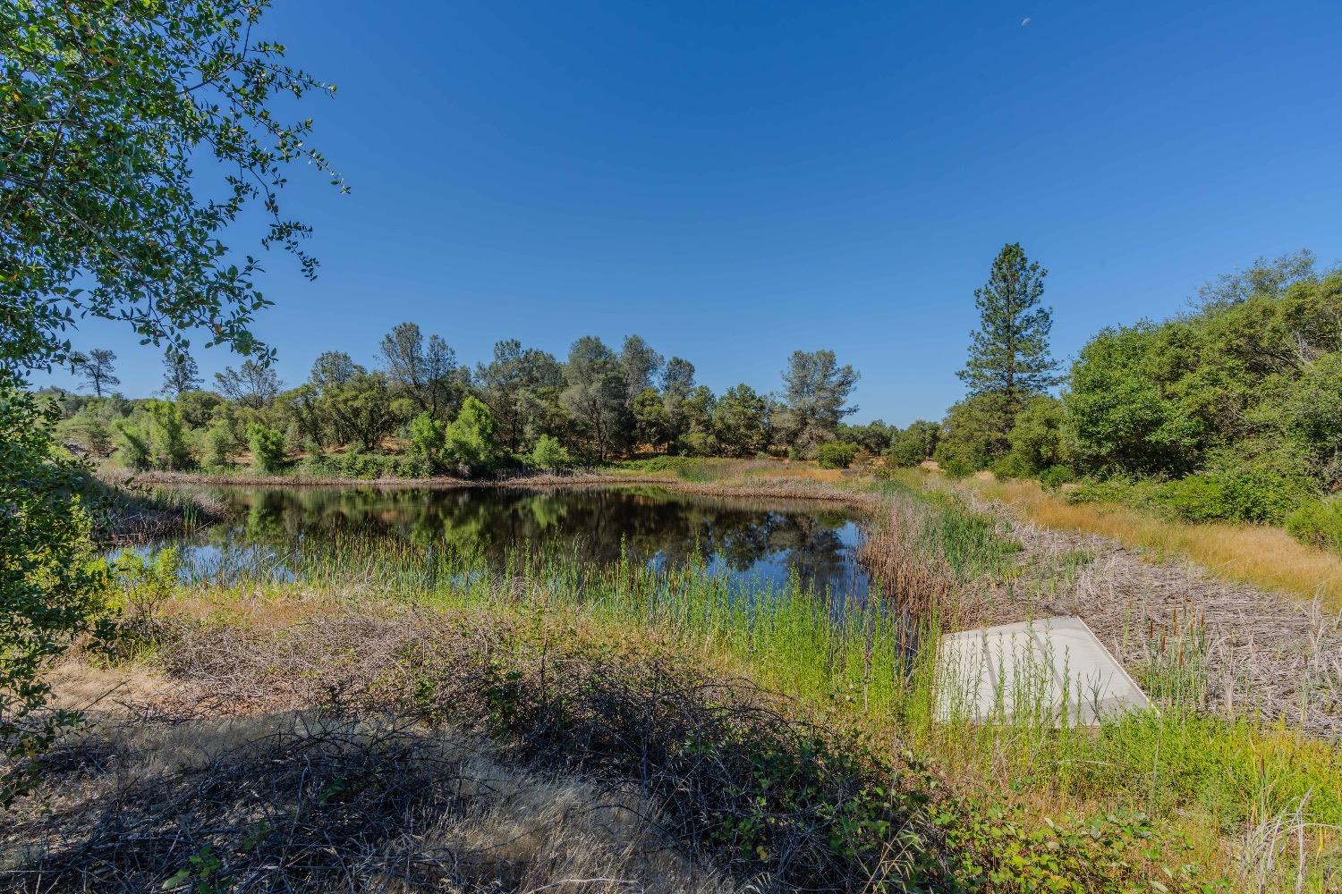 Detail Gallery Image 9 of 30 For 5650 Red Valley Rd, Ione,  CA 95640 - – Beds | – Baths