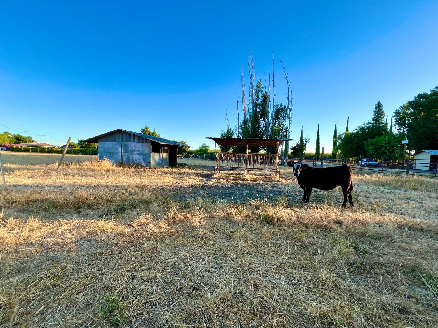 Almond Avenue, Arbuckle, California image 35