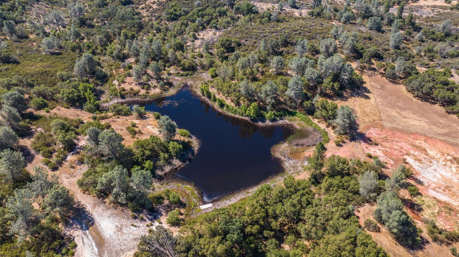 Red Valley Road, Ione, California image 30