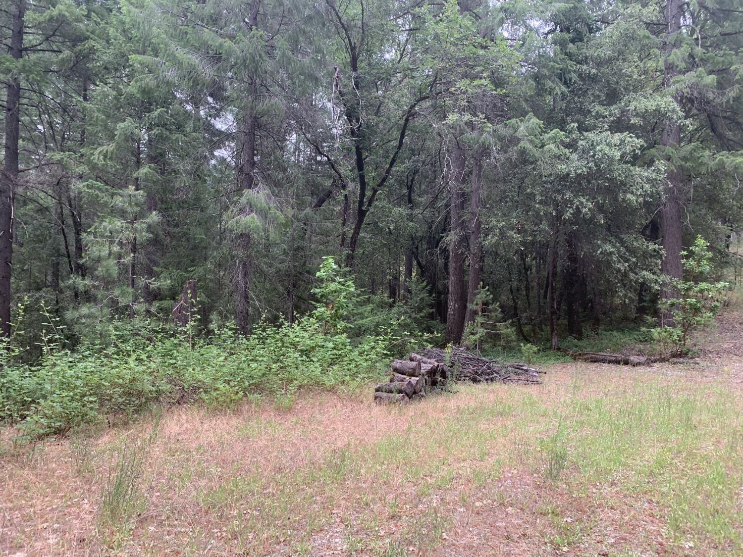 Amapola Court, Pollock Pines, California image 1