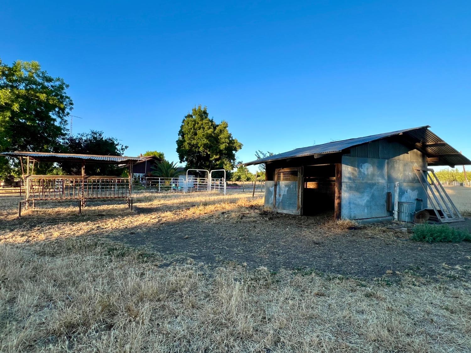 Almond Avenue, Arbuckle, California image 37