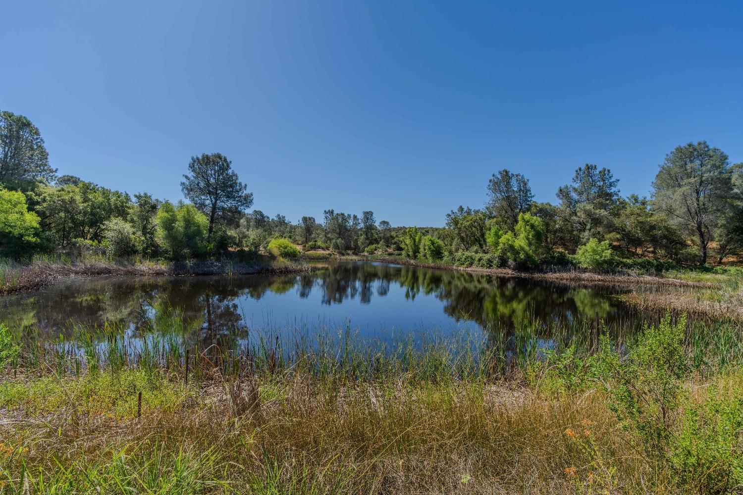 Detail Gallery Image 2 of 30 For 5650 Red Valley Rd, Ione,  CA 95640 - – Beds | – Baths