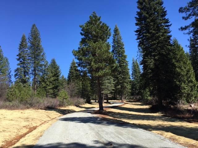 Detail Gallery Image 2 of 10 For 22281 Back Bone  Place, Nevada City,  CA 95959 - – Beds | – Baths