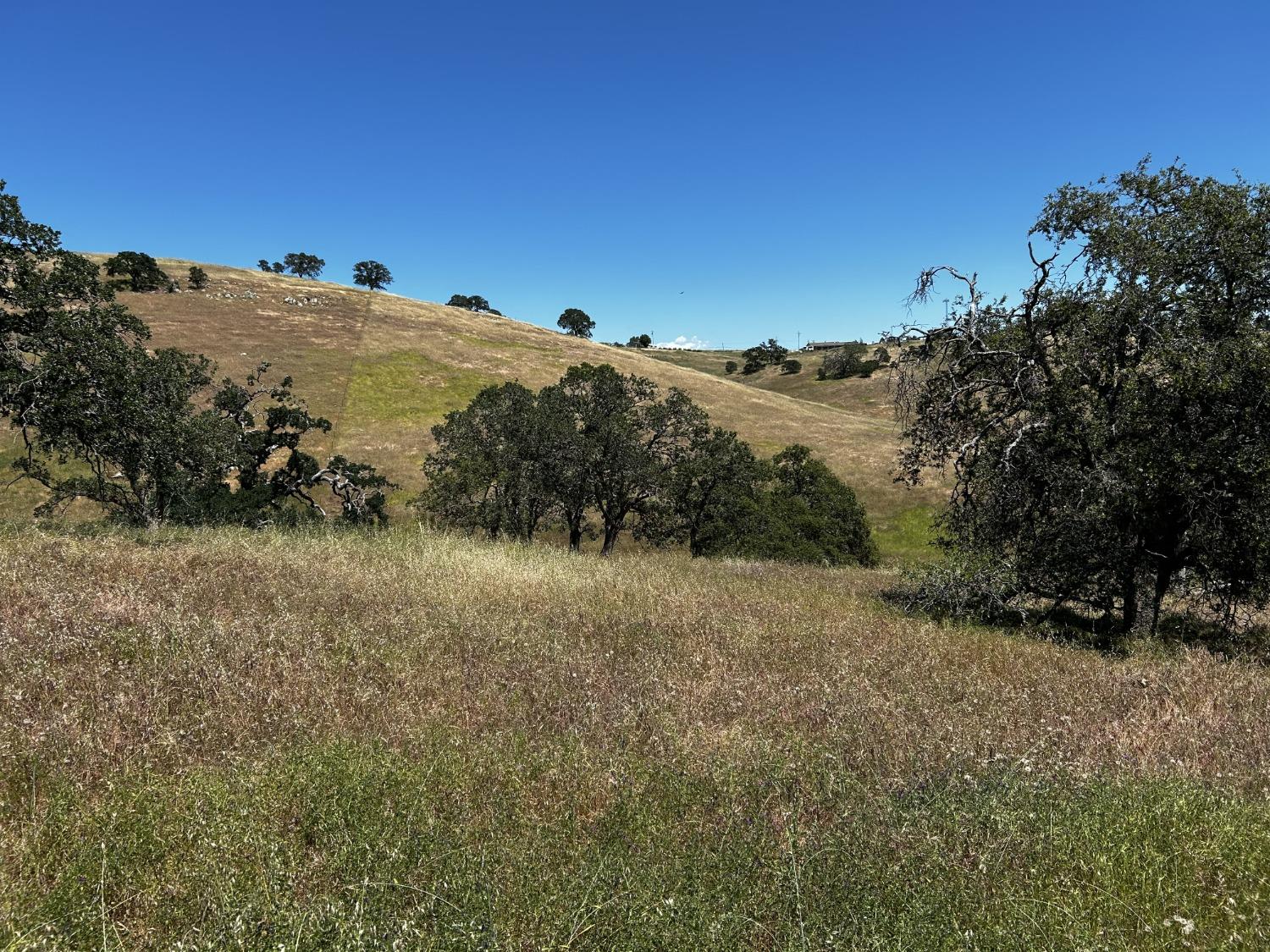 Carrizo Way, La Grange, California image 5