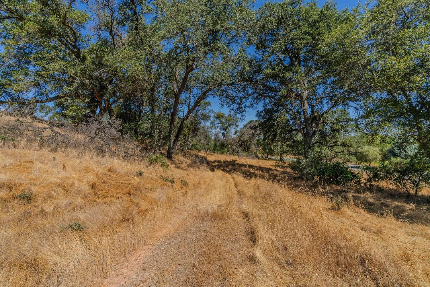 Red Valley Road, Ione, California image 4