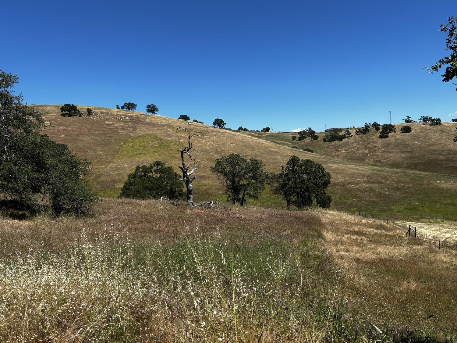 Carrizo Way, La Grange, California image 4