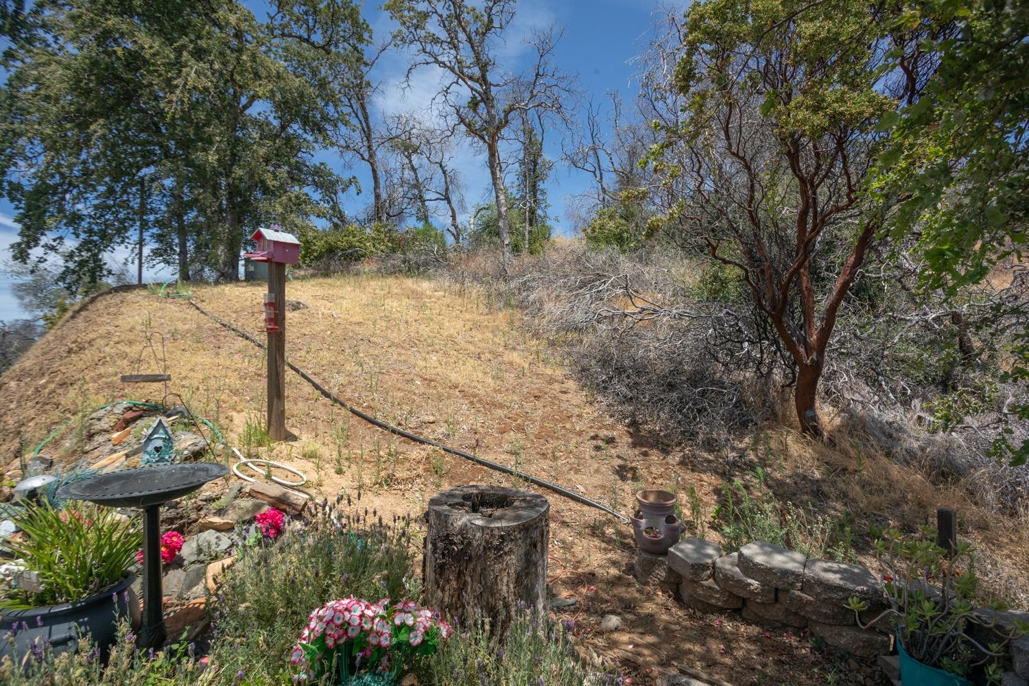 Detail Gallery Image 69 of 79 For 280 Canyon Creek Rd, Berry Creek,  CA 95916 - 2 Beds | 2 Baths