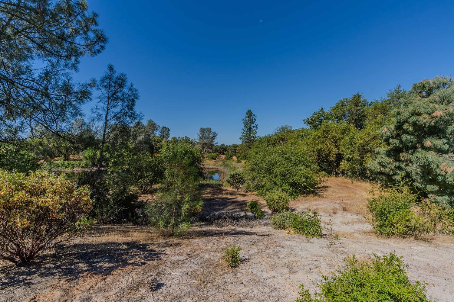 Red Valley Road, Ione, California image 8