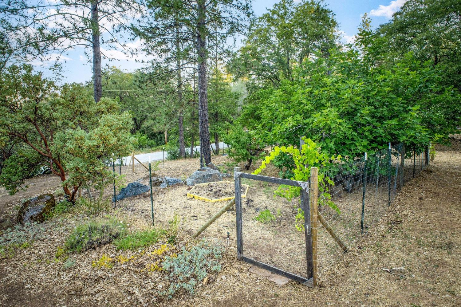 Detail Gallery Image 83 of 87 For 13119 Cement Hill Rd, Nevada City,  CA 95959 - 3 Beds | 3 Baths