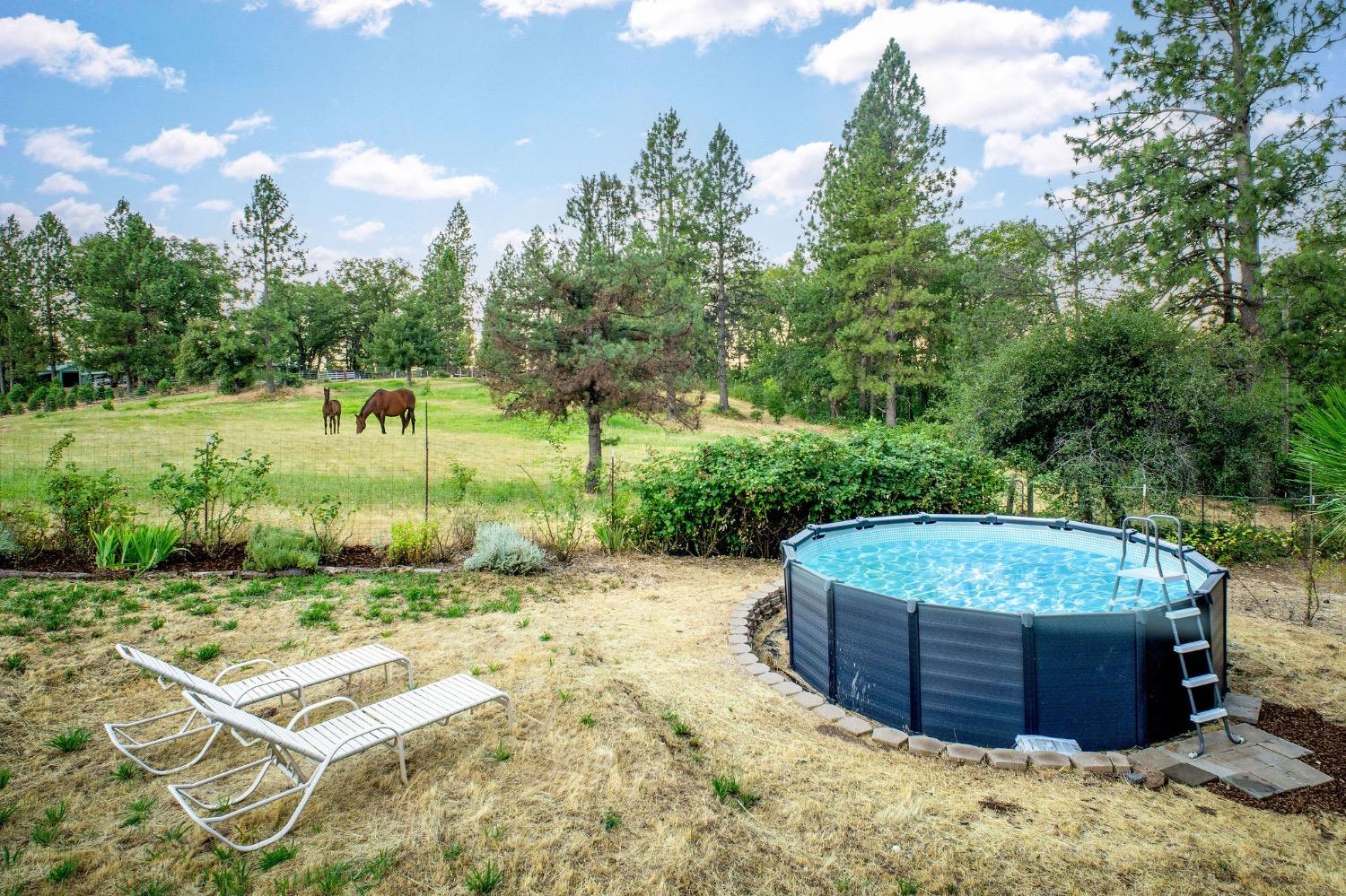 Detail Gallery Image 8 of 87 For 13119 Cement Hill Rd, Nevada City,  CA 95959 - 3 Beds | 3 Baths