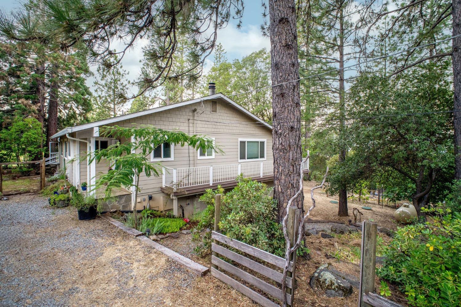 Detail Gallery Image 79 of 87 For 13119 Cement Hill Rd, Nevada City,  CA 95959 - 3 Beds | 3 Baths