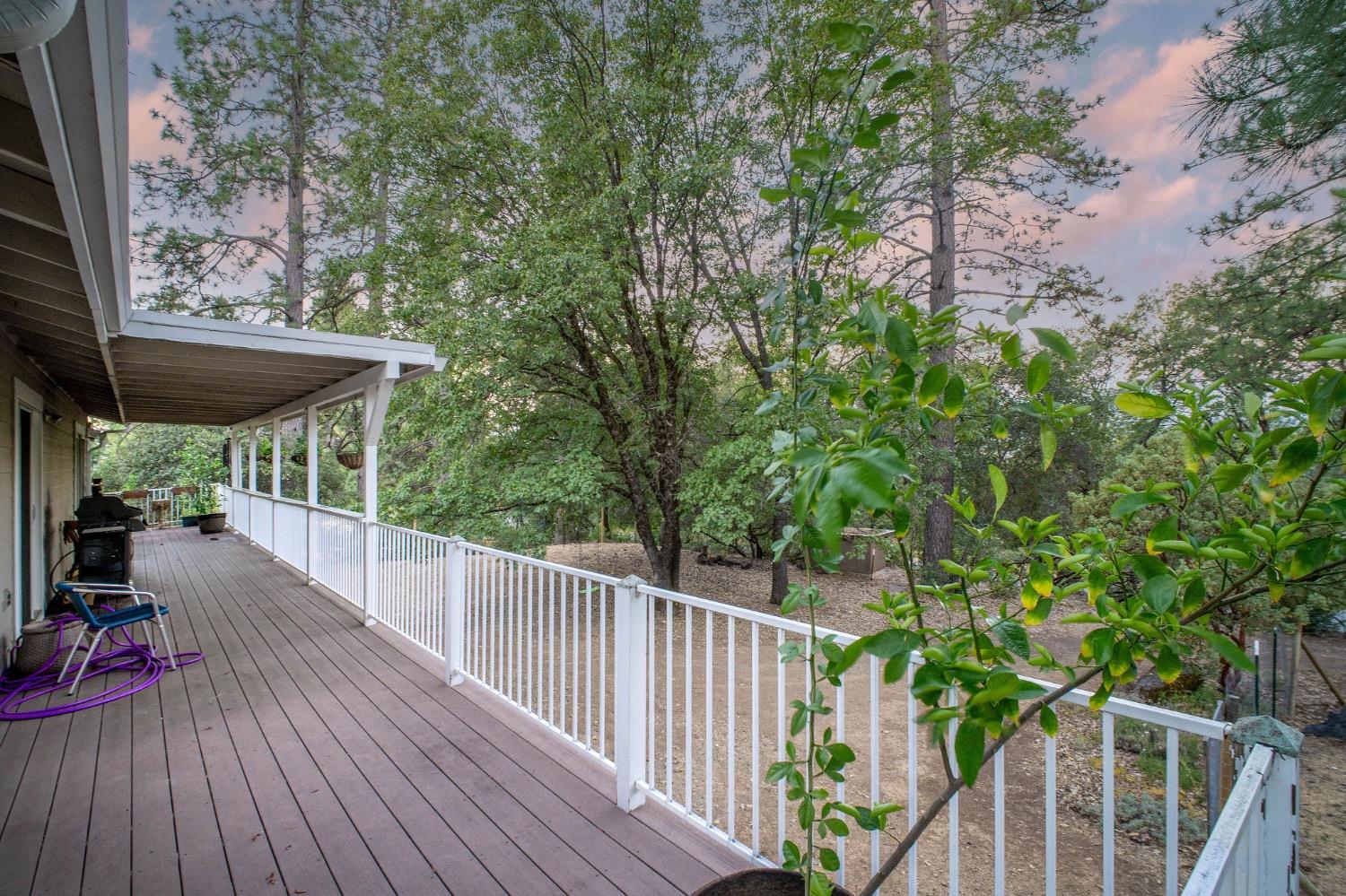 Detail Gallery Image 61 of 87 For 13119 Cement Hill Rd, Nevada City,  CA 95959 - 3 Beds | 3 Baths