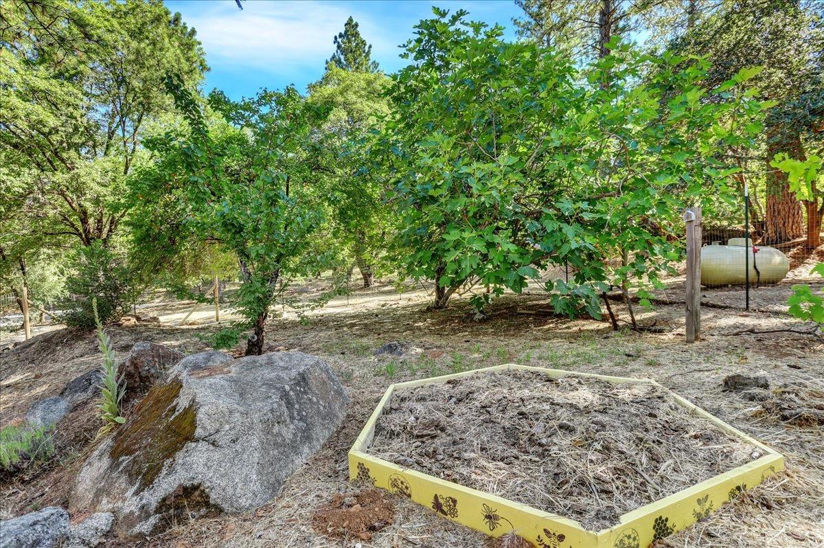 Detail Gallery Image 75 of 87 For 13119 Cement Hill Rd, Nevada City,  CA 95959 - 3 Beds | 3 Baths