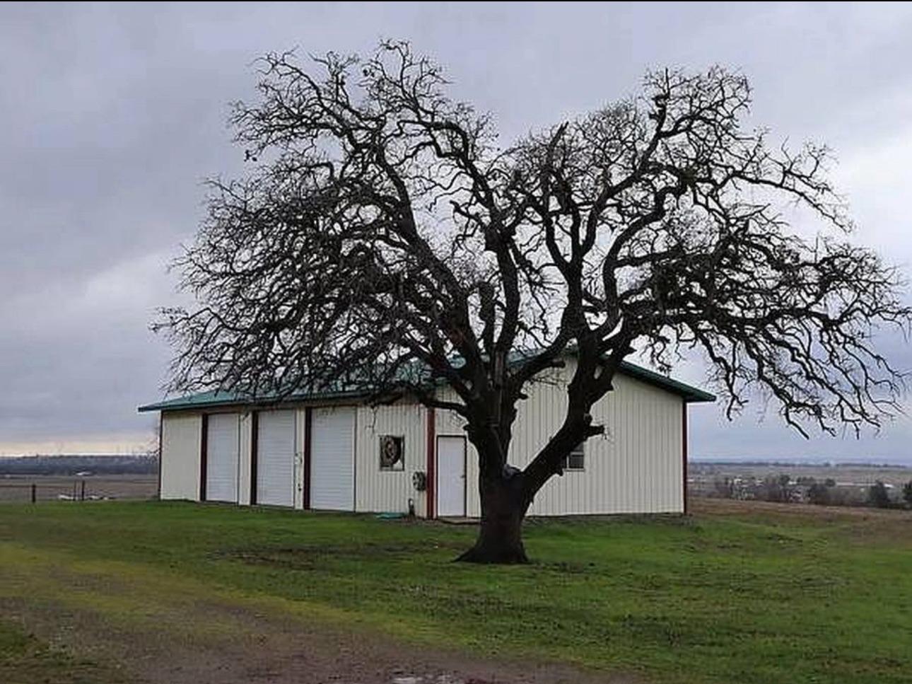 Spring Way, Anderson, California image 3