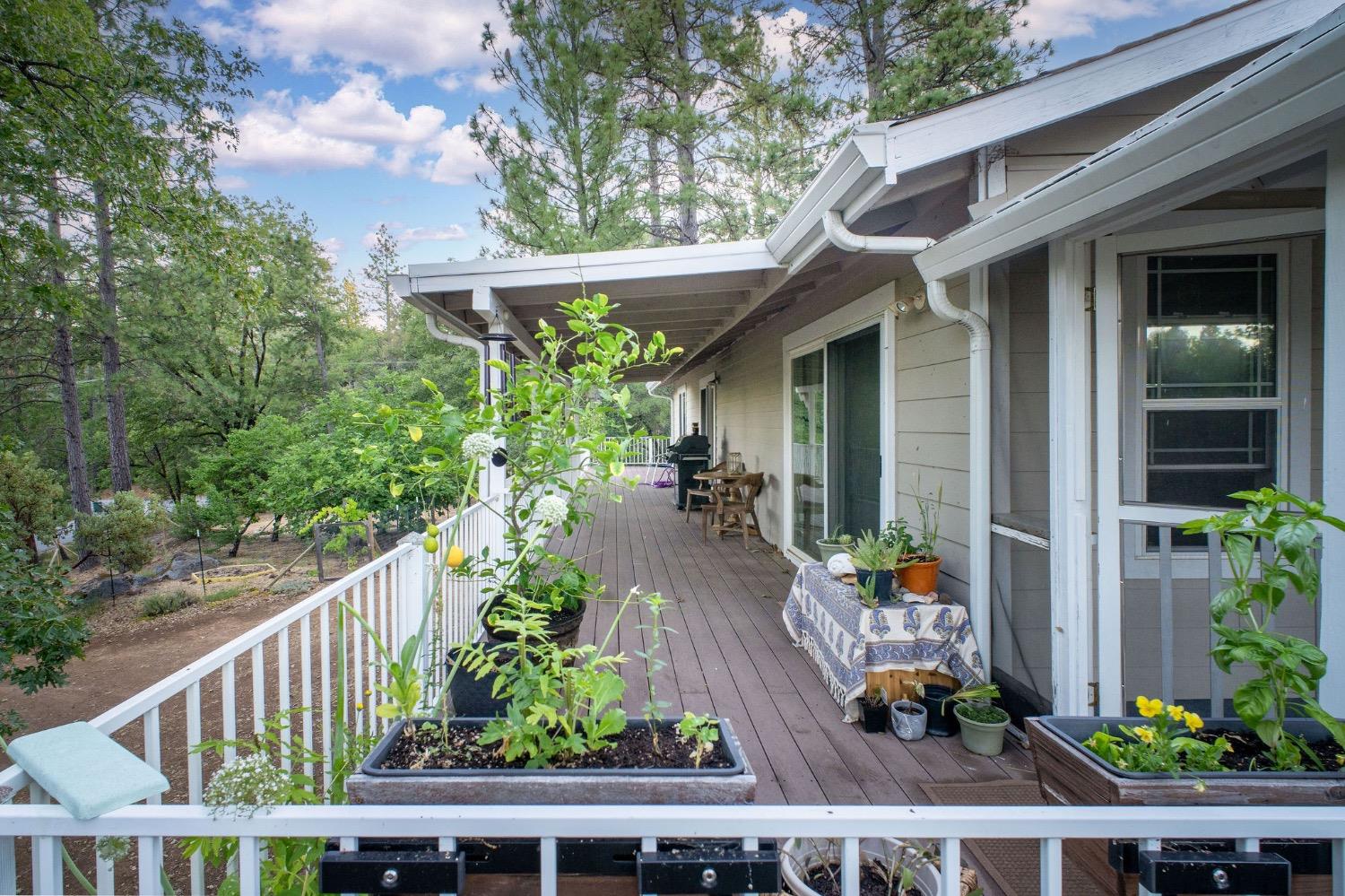 Detail Gallery Image 14 of 87 For 13119 Cement Hill Rd, Nevada City,  CA 95959 - 3 Beds | 3 Baths