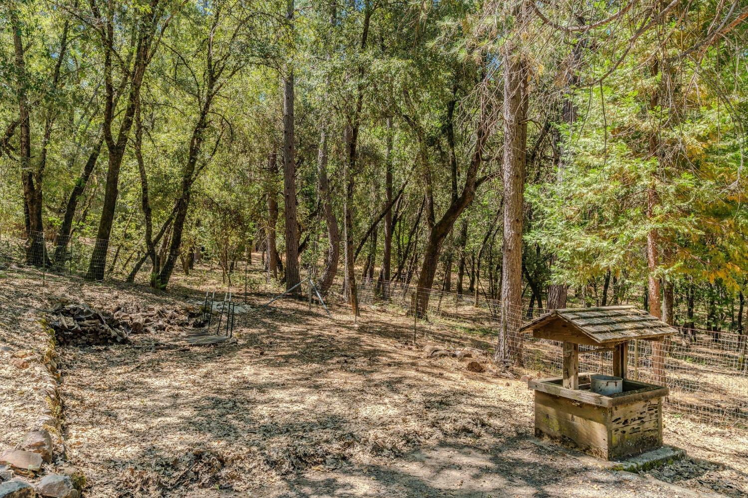 Detail Gallery Image 63 of 72 For 148 Sandy Gulch Ln, West Point,  CA 95255 - 4 Beds | 2 Baths