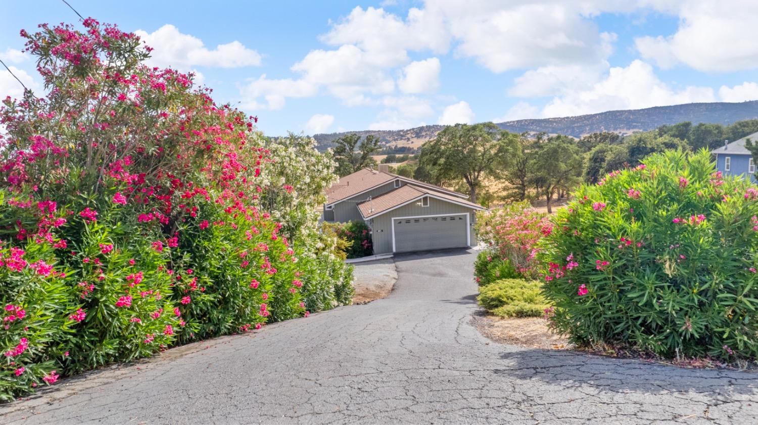 Detail Gallery Image 3 of 57 For 4990 Little John Rd, Copperopolis,  CA 95228 - 3 Beds | 2 Baths