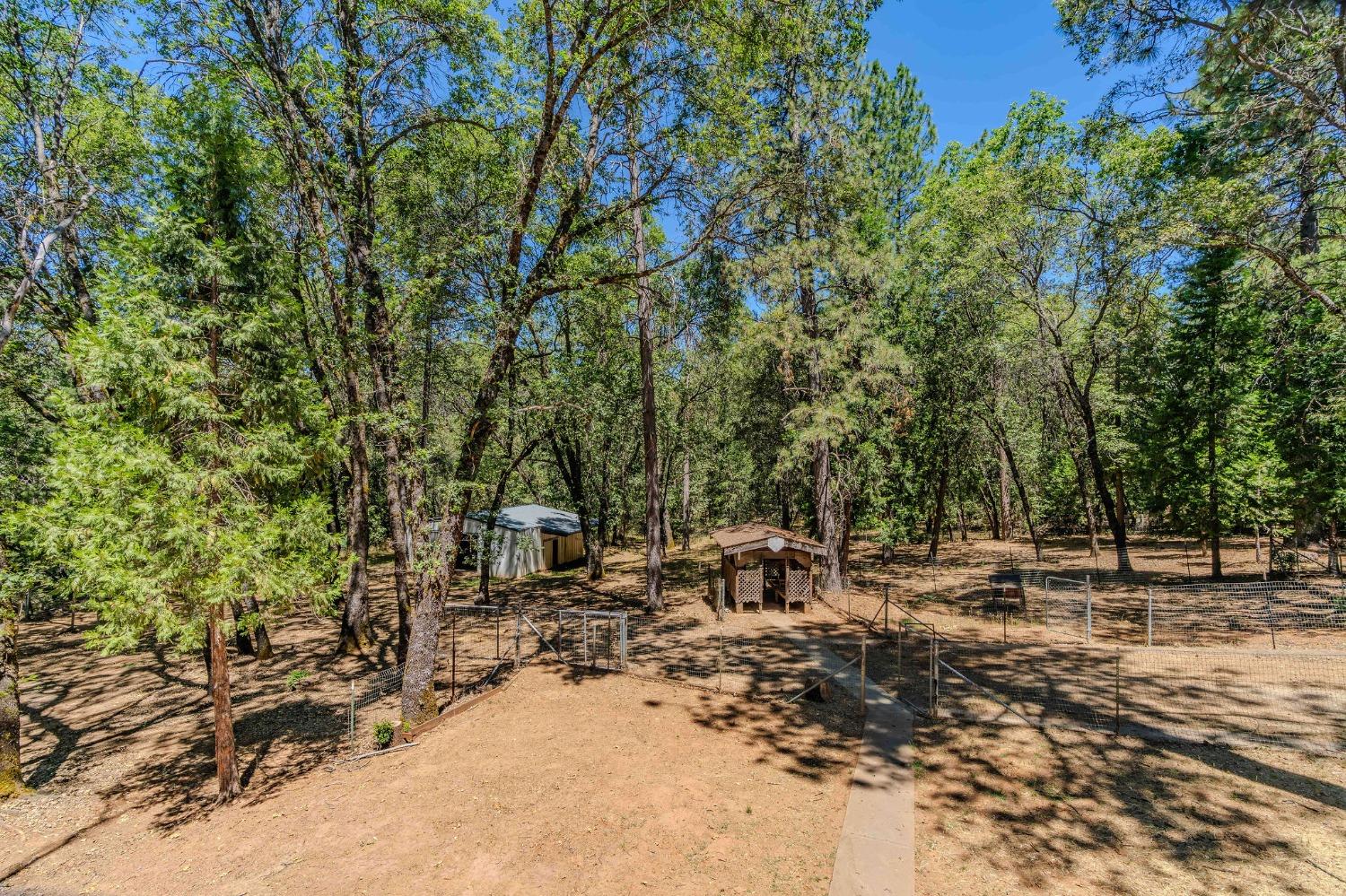 Detail Gallery Image 66 of 72 For 148 Sandy Gulch Ln, West Point,  CA 95255 - 4 Beds | 2 Baths