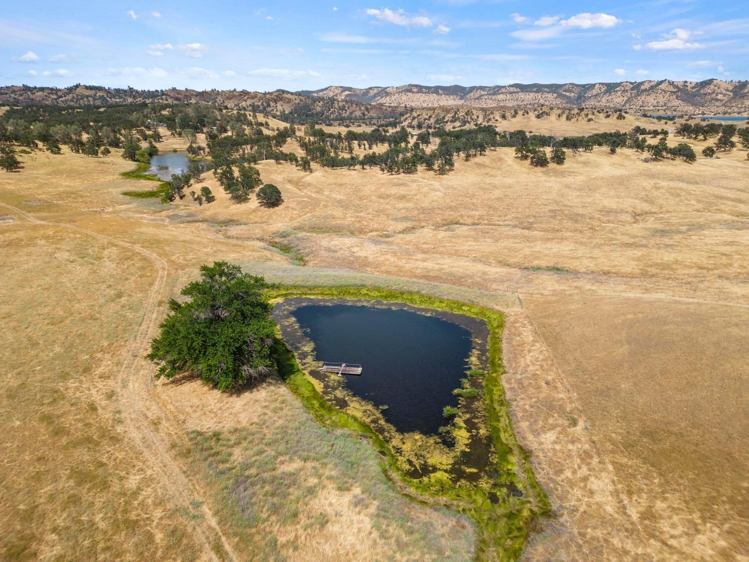 E Park Road, Stonyford, California image 7