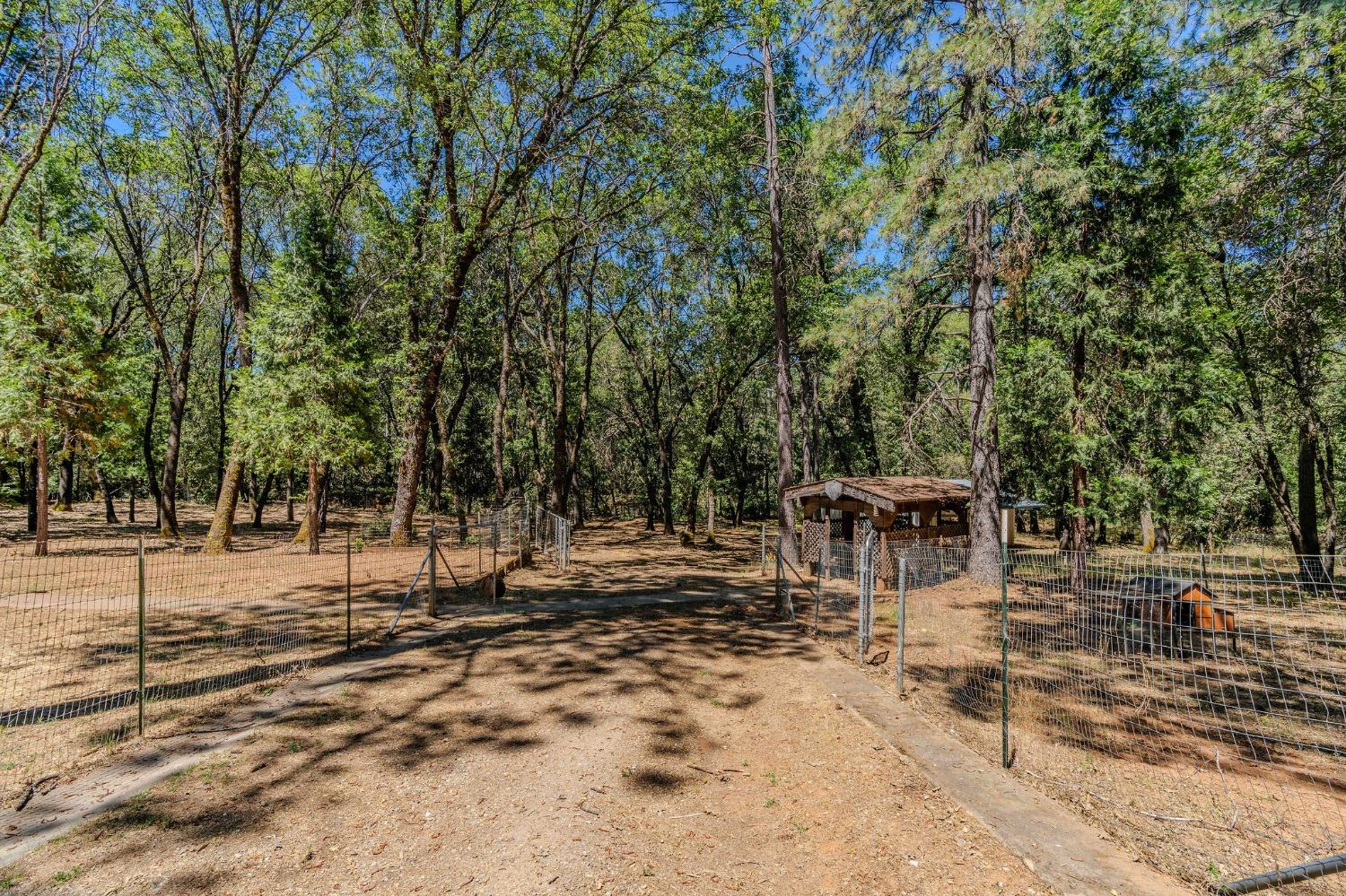 Detail Gallery Image 54 of 72 For 148 Sandy Gulch Ln, West Point,  CA 95255 - 4 Beds | 2 Baths