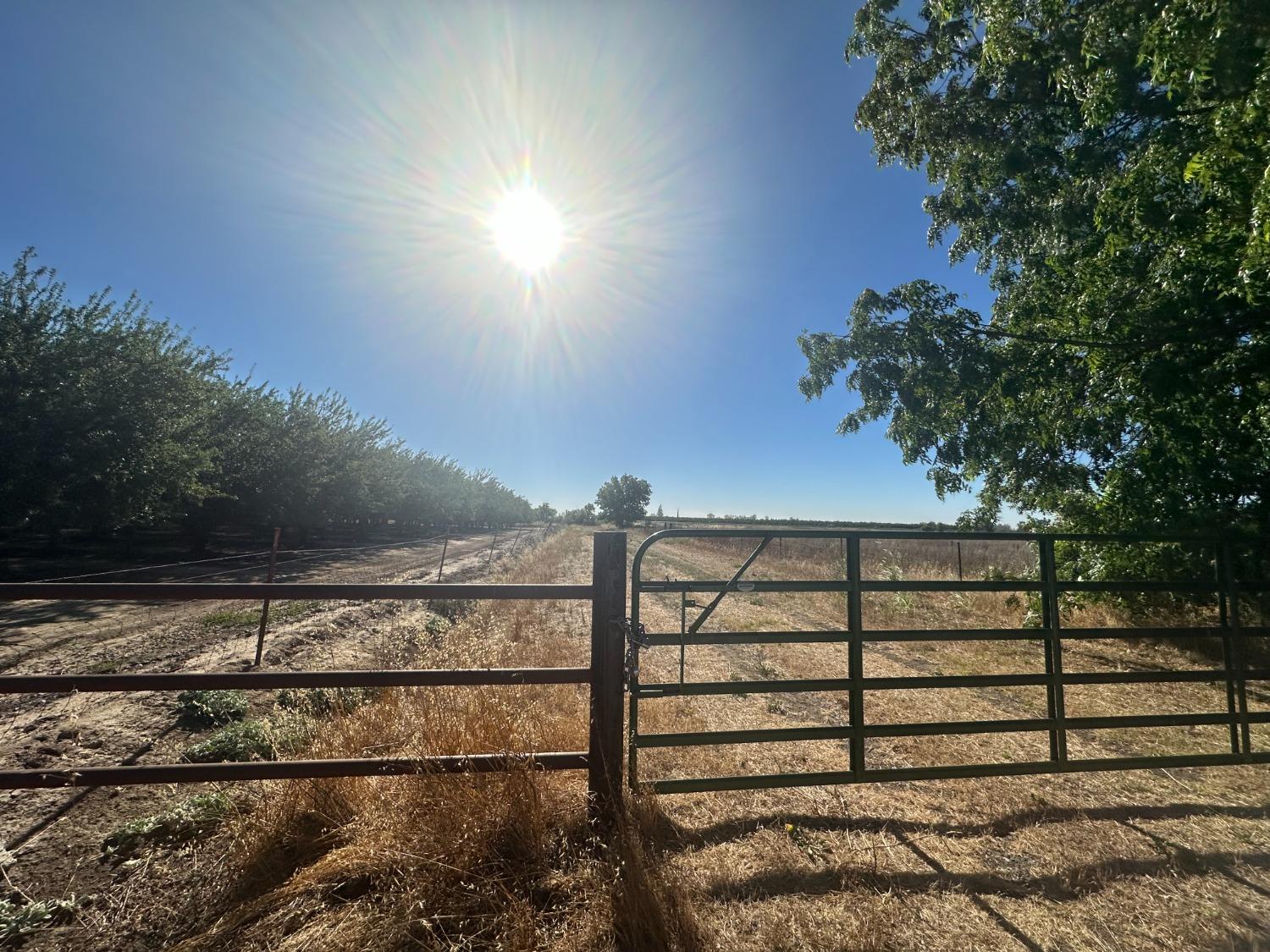 Co Rd 31, Artois, California image 3