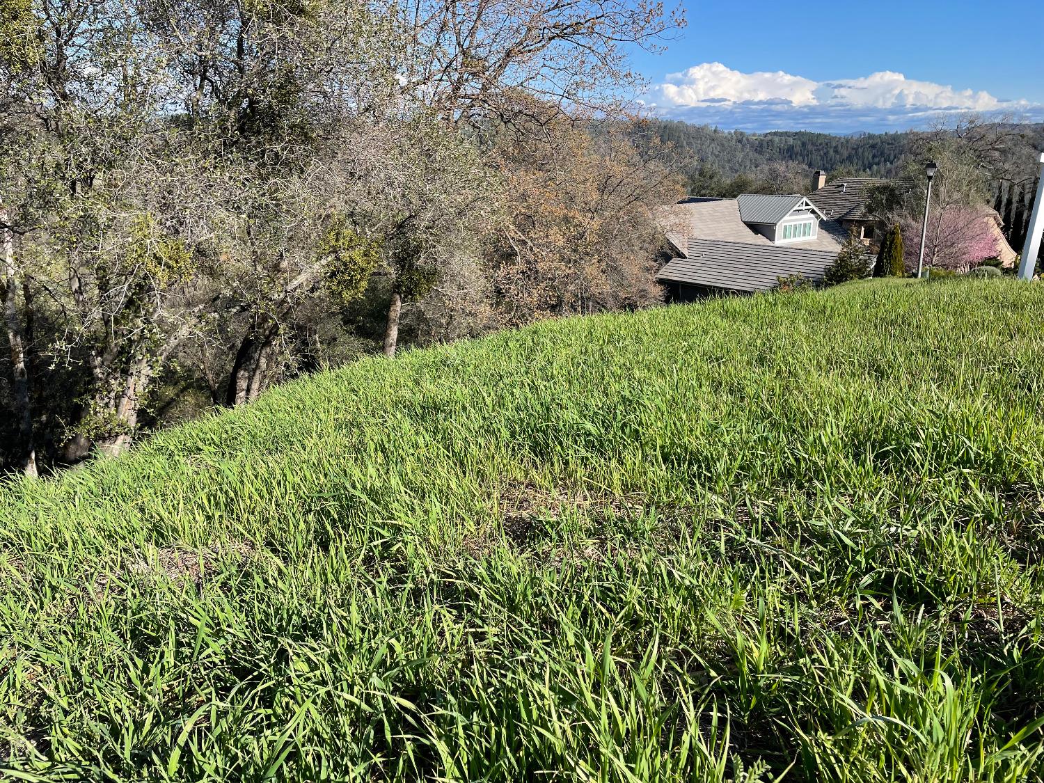 Eagles Nest, Auburn, California image 3