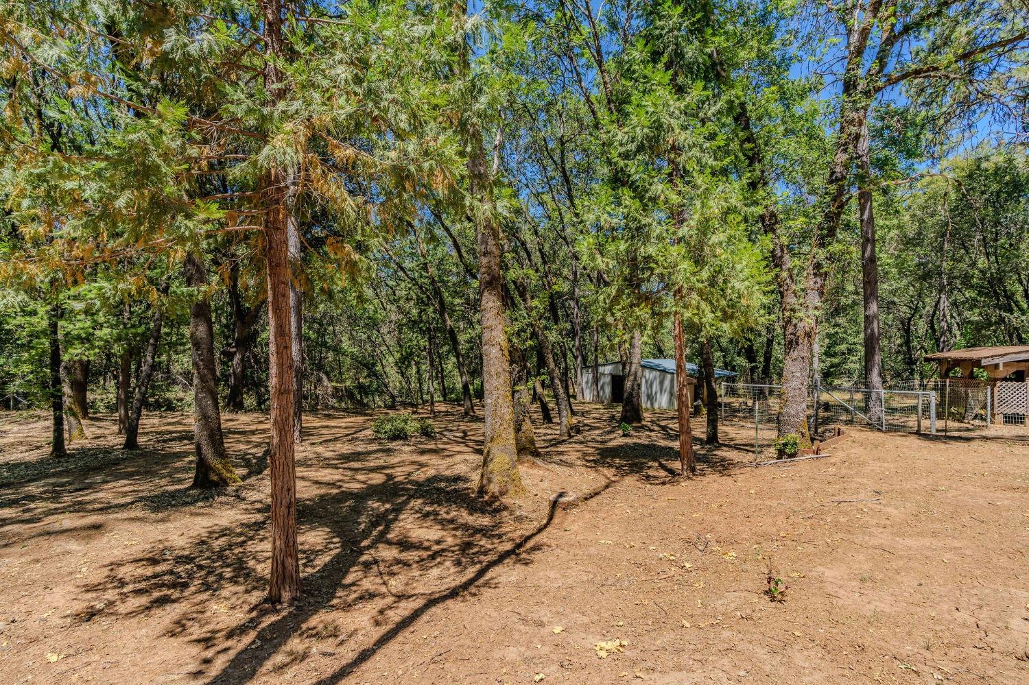 Detail Gallery Image 67 of 72 For 148 Sandy Gulch Ln, West Point,  CA 95255 - 4 Beds | 2 Baths