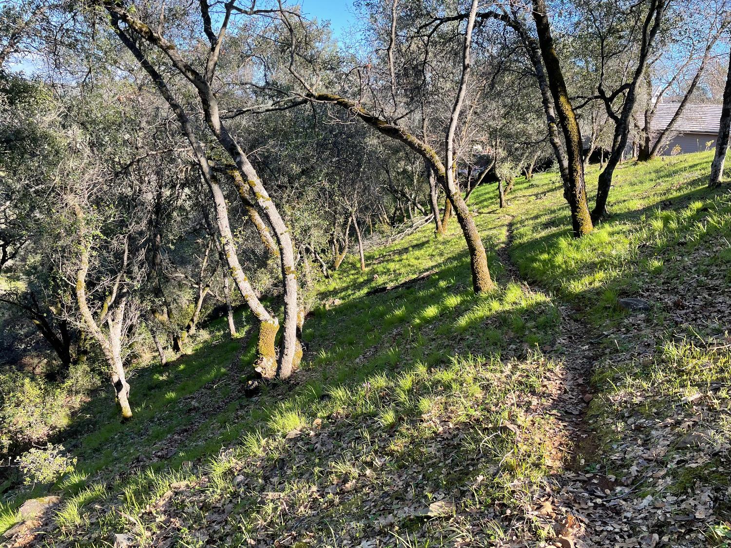 Eagles Nest, Auburn, California image 7