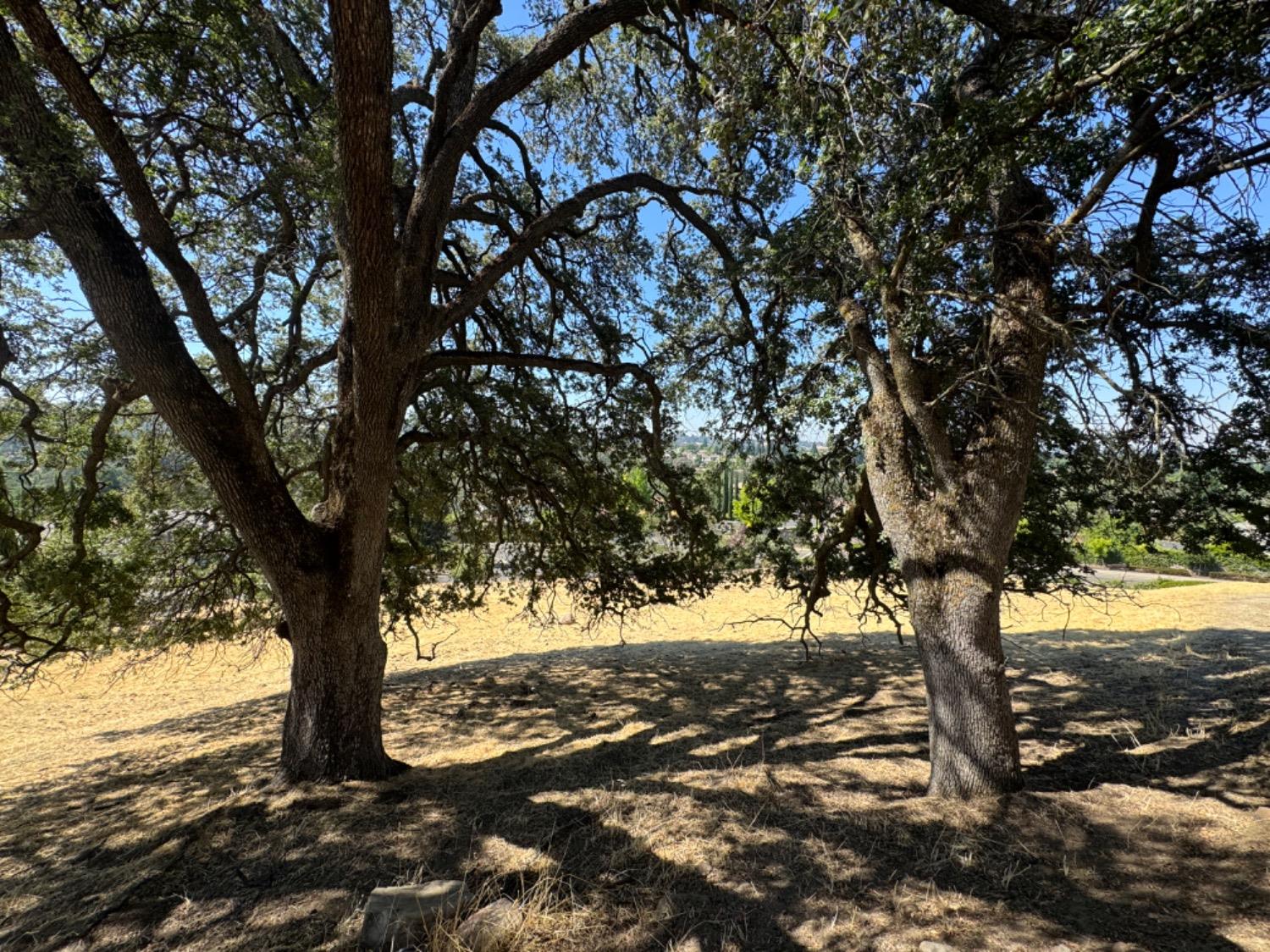 Clubhouse Drive, Rocklin, California image 8