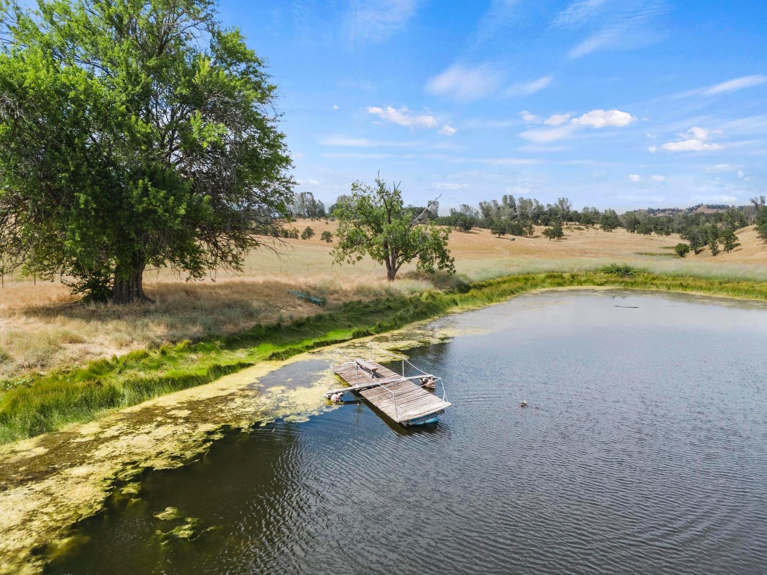 E Park Road, Stonyford, California image 8