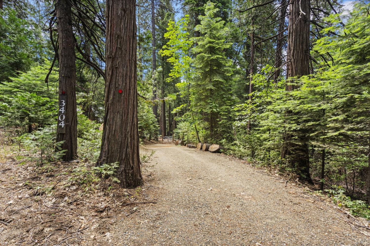 Detail Gallery Image 6 of 26 For 3404 Sly Park Rd, Pollock Pines,  CA 95726 - 3 Beds | 1/1 Baths