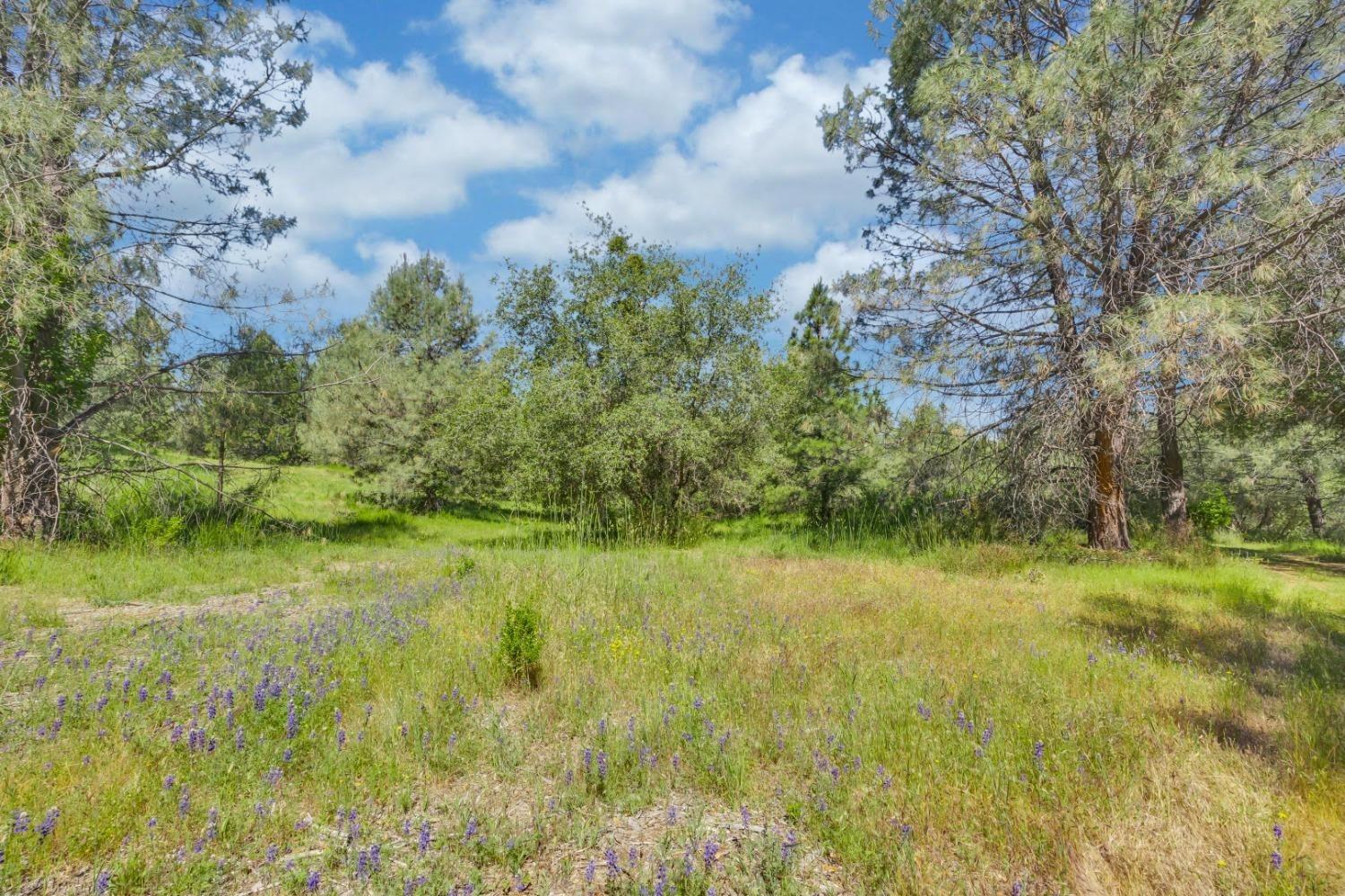 Detail Gallery Image 8 of 15 For 14331 Beitler Rd, Nevada City,  CA 95959 - – Beds | – Baths