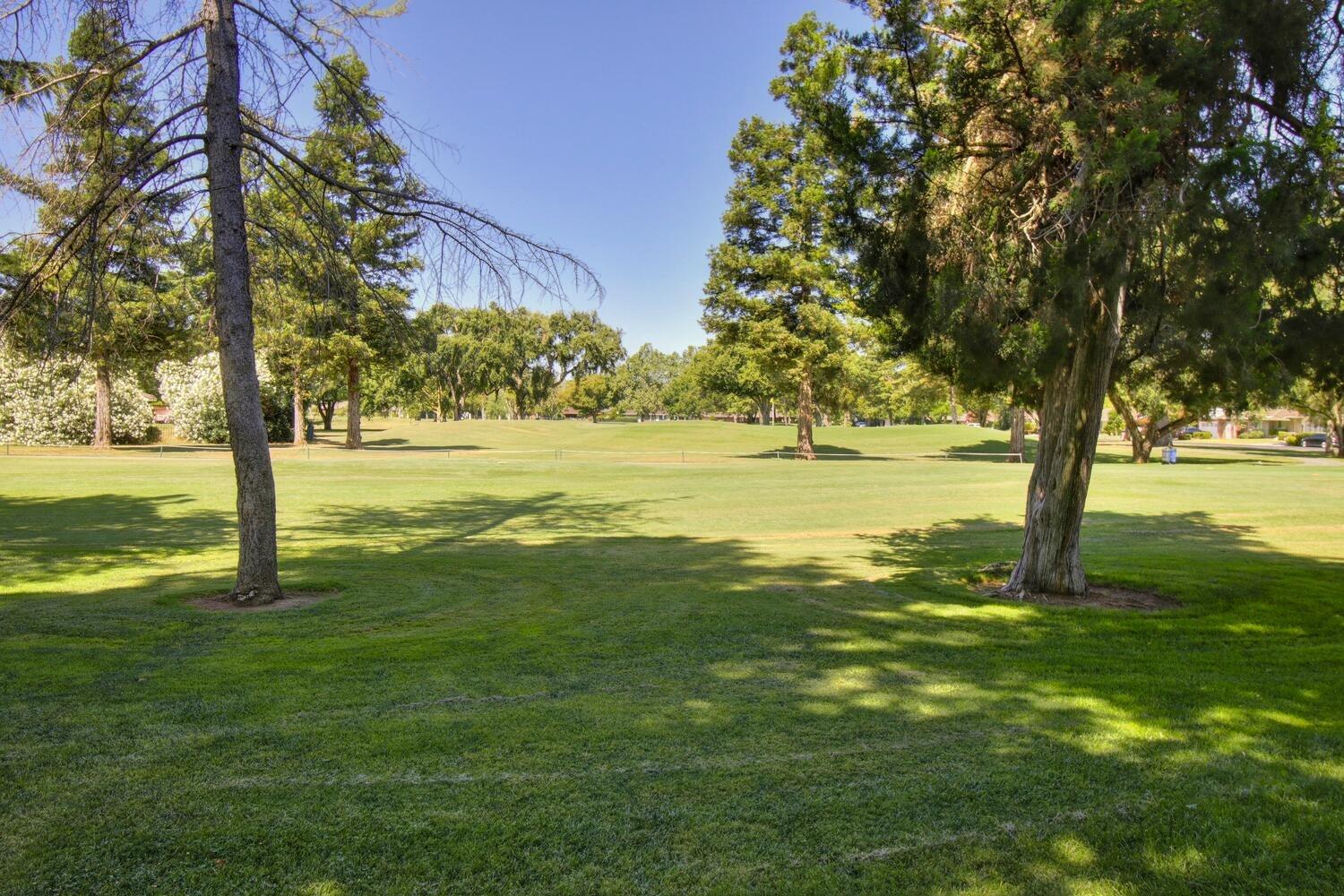 Middle Golf Drive, El Macero, California image 12