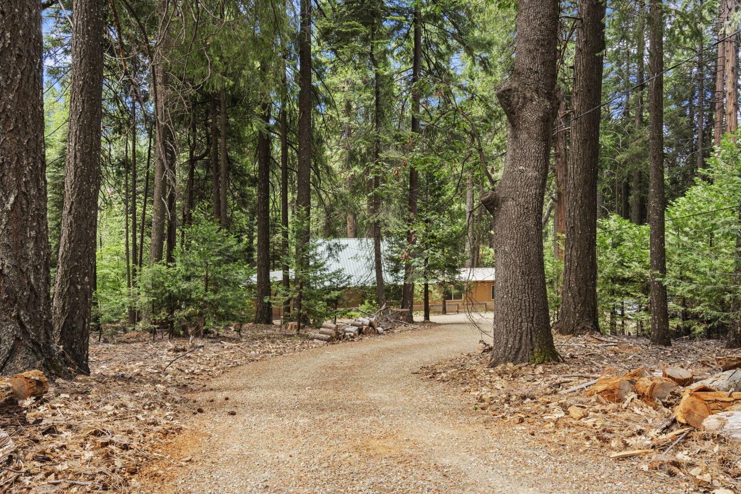 Detail Gallery Image 7 of 26 For 3404 Sly Park Rd, Pollock Pines,  CA 95726 - 3 Beds | 1/1 Baths