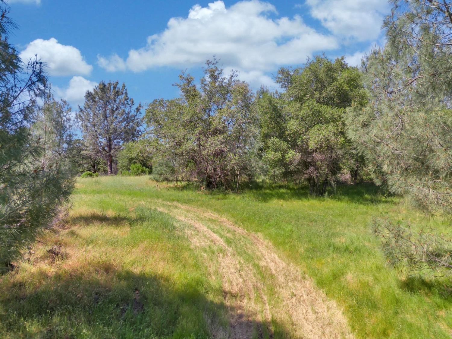 Detail Gallery Image 12 of 15 For 14331 Beitler Rd, Nevada City,  CA 95959 - – Beds | – Baths