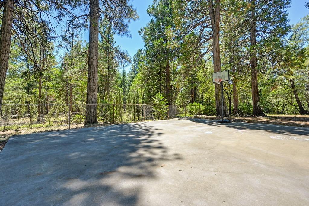 Sly Park Road, Pollock Pines, California image 13