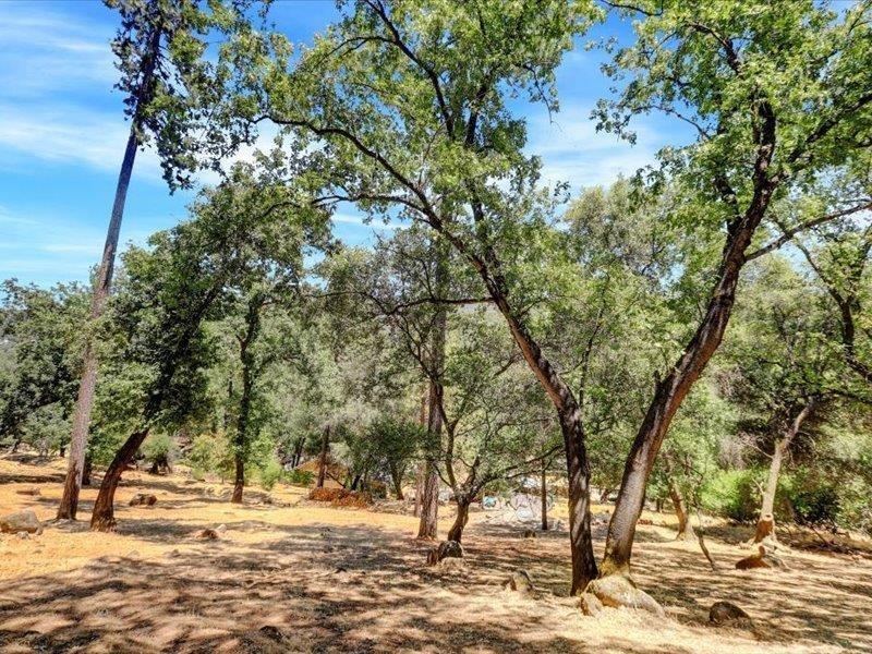 Detail Gallery Image 95 of 99 For 18410 Blue Teal Loop, Penn Valley,  CA 95946 - 4 Beds | 2/1 Baths