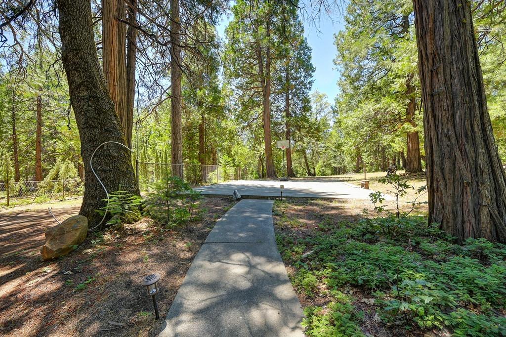 Sly Park Road, Pollock Pines, California image 12