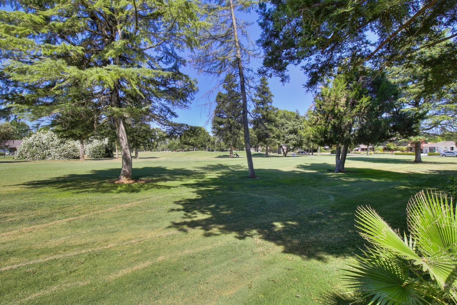 Middle Golf Drive, El Macero, California image 14