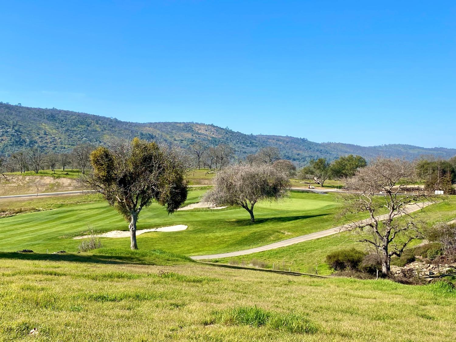 Detail Gallery Image 3 of 21 For 1904 Oak Creek Dr, Copperopolis,  CA 95228 - – Beds | – Baths