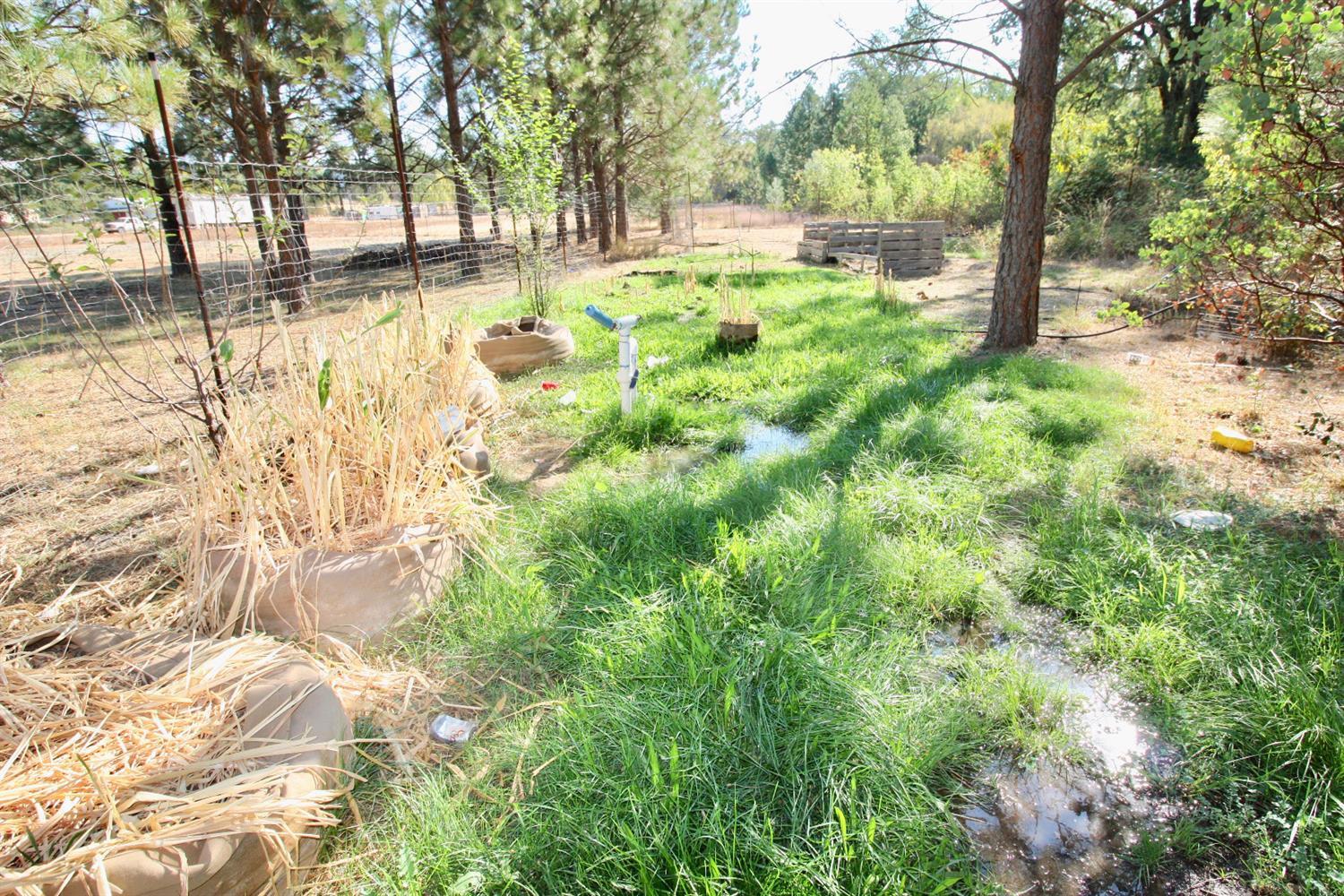 Yuba Ranch, Oregon House, California image 5