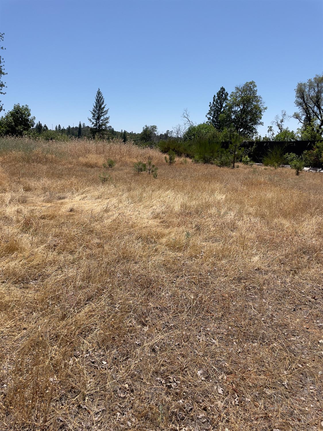 Detail Gallery Image 17 of 26 For 10874 Marysville Rd, Dobbins,  CA 95935 - – Beds | – Baths